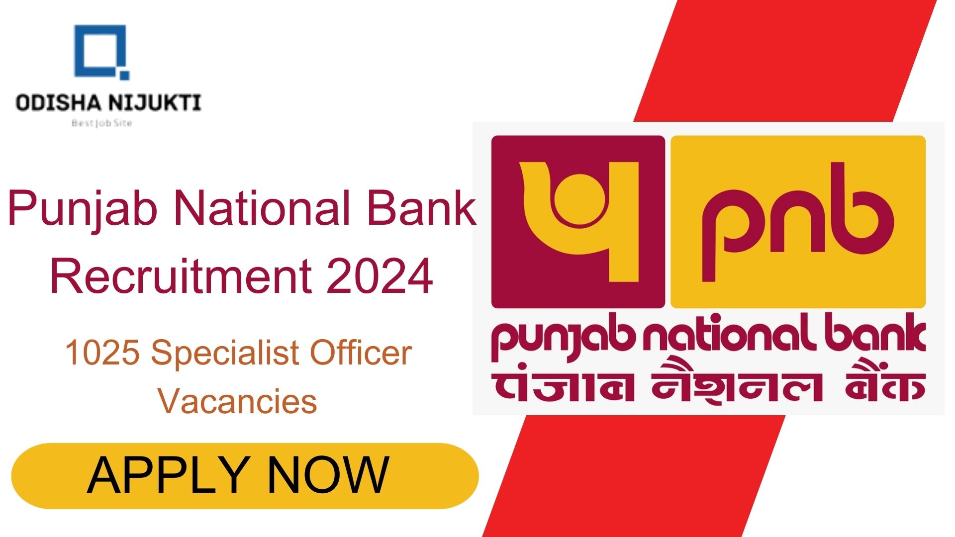 Punjab-National-Bank-Recruitment-2024---Apply-for-1025-Specialist-Officer-Vacancies